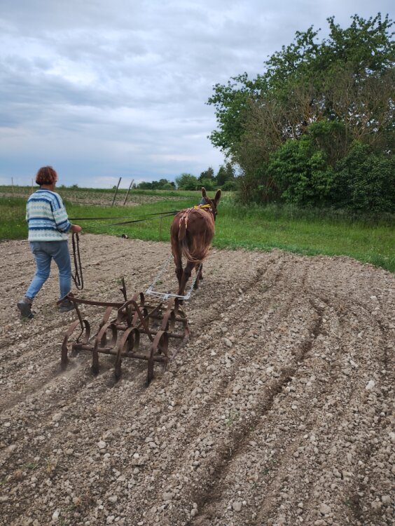 Passage de la canadienne