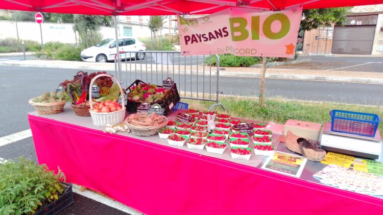 Marché de Saint Aulaye-Puymangou